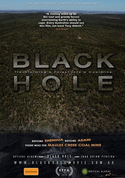 Póster de Black Hole
