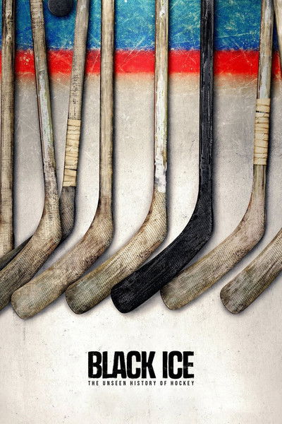 Póster de Black Ice