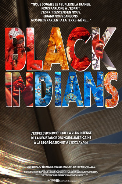 Póster de Black Indians