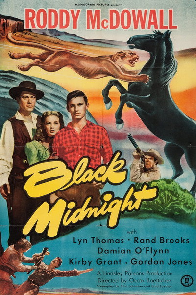 Póster de Black Midnight