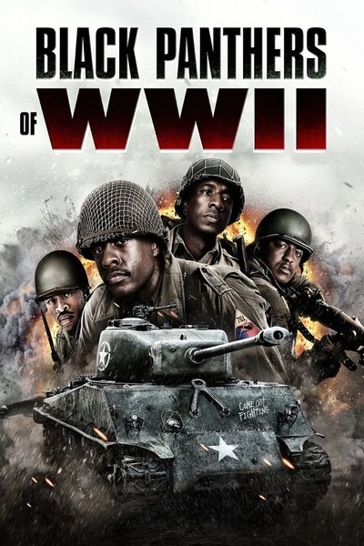 Póster de Black Panthers of WWII