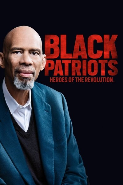 Póster de Black Patriots