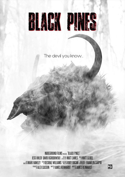 Póster de Black Pines