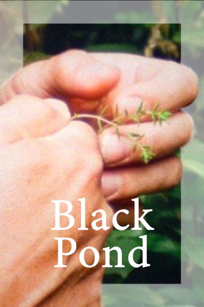 Póster de Black Pond