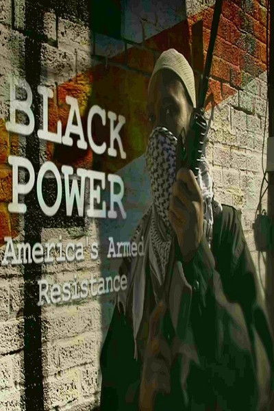 Póster de Black Power: America's Armed Resistance