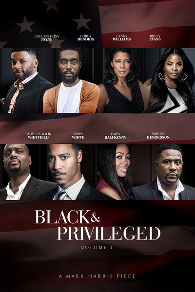 Póster de Black Privilege