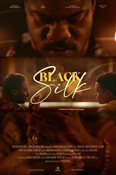 Póster de Black Silk