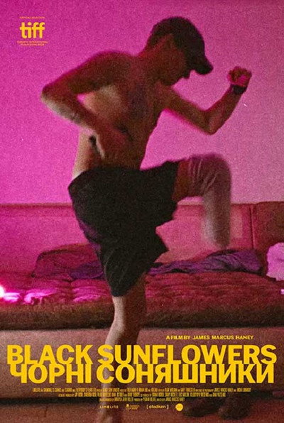 Póster de Black Sunflowers