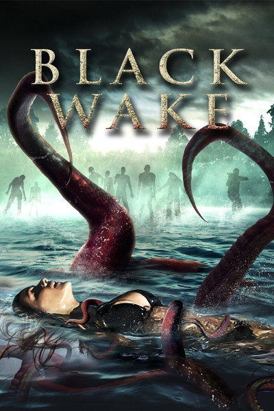 Póster de Black Wake