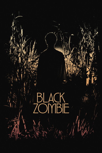 Póster de Black Zombie