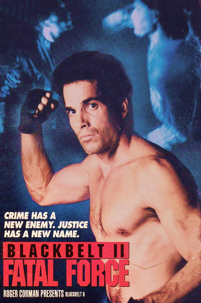 Póster de Blackbelt II