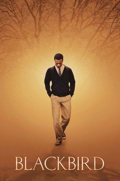 Póster de Blackbird