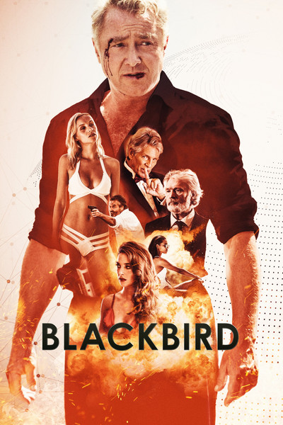 Póster de Blackbird