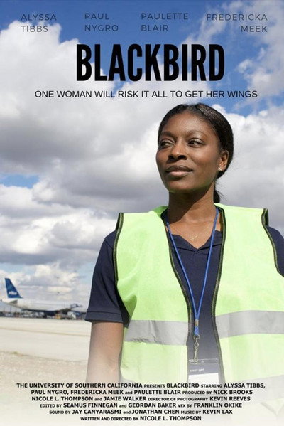 Póster de Blackbird