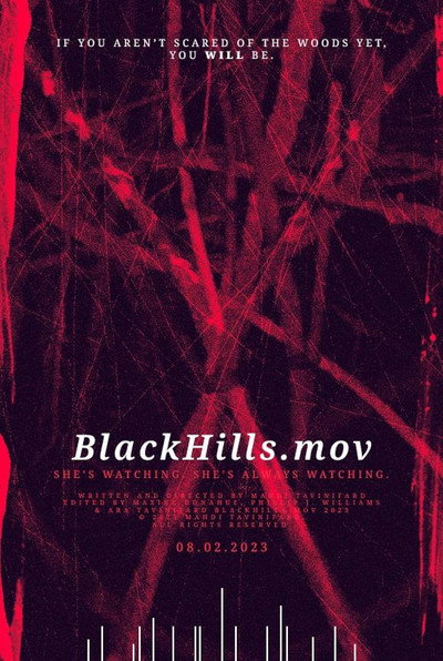 Póster de BlackHills.mov