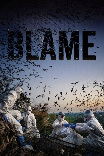 Póster de Blame