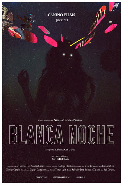 Póster de Blanca Noche
