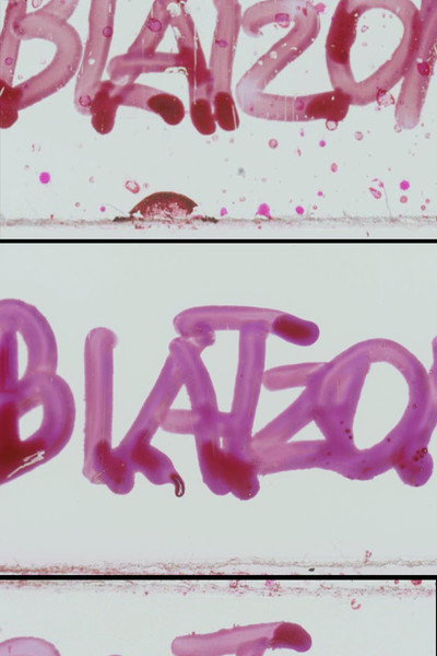 Póster de Blatzom