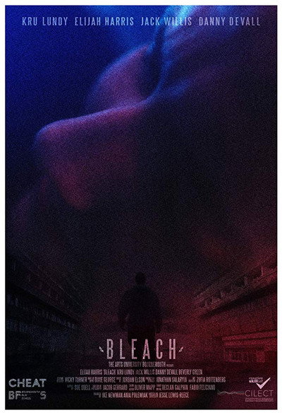 Póster de Bleach