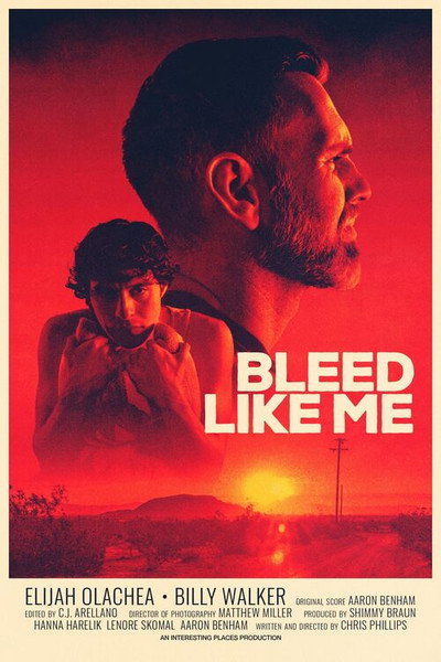 Póster de Bleed Like Me
