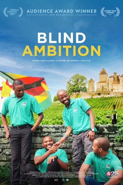 Póster de Blind Ambition