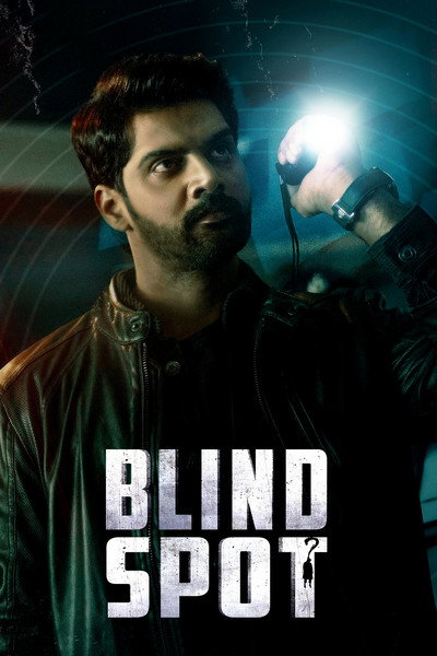 Póster de Blind Spot