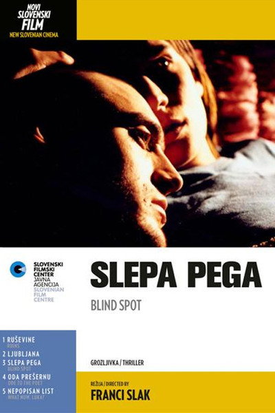 Póster de Blind Spot