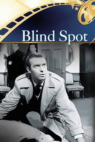 Póster de Blind Spot