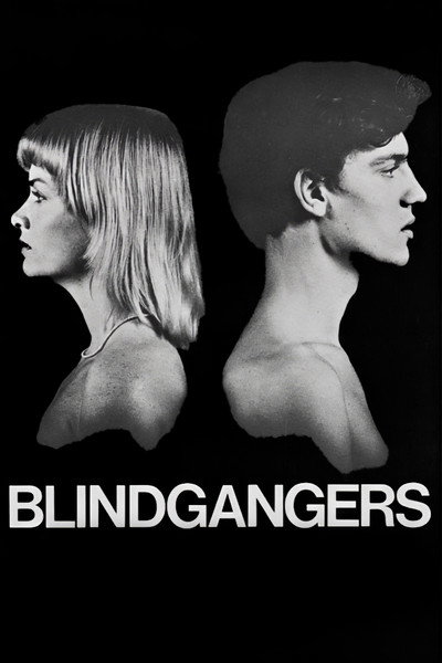 Póster de Blind Spot