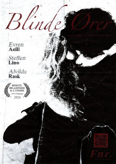 Póster de Blinde Ører