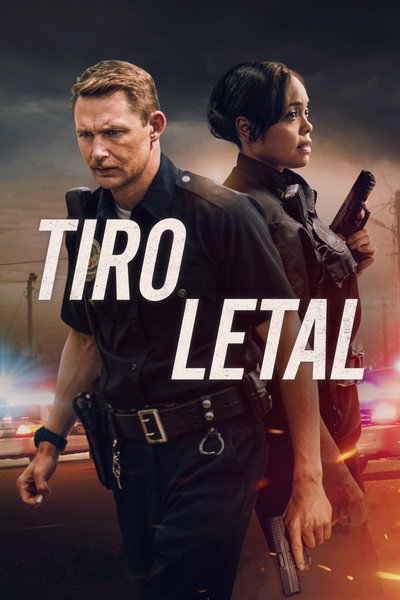 Póster de Blindfire