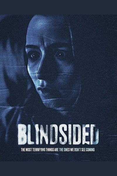 Póster de Blindsided