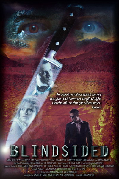 Póster de Blindsided