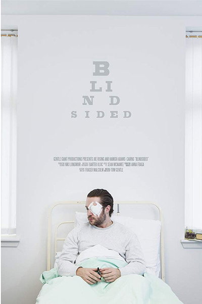Póster de Blindsided