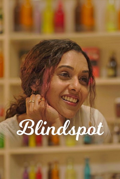 Póster de Blindspot