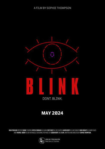 Póster de Blink