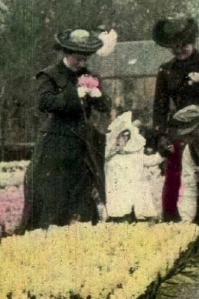Póster de Bloemenvelden Haarlem