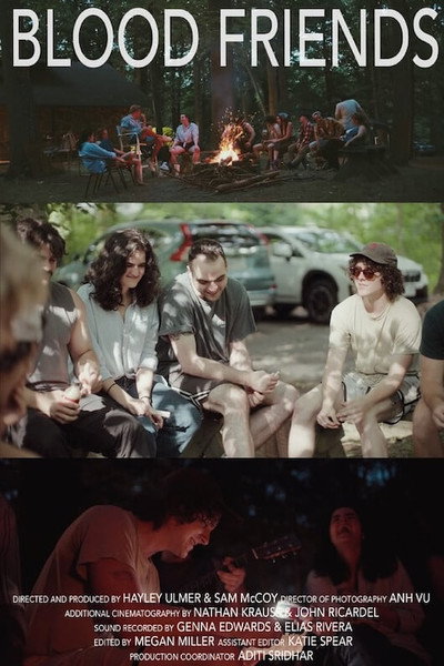Póster de Blood Friends