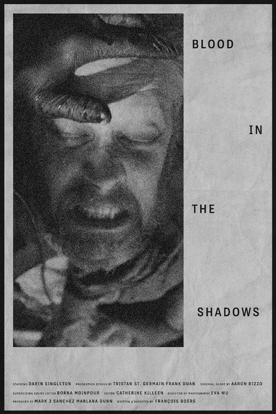 Póster de Blood in the Shadows