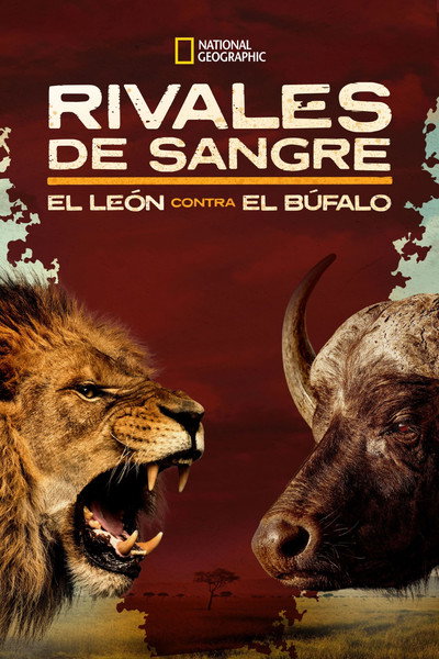 Póster de Blood Rivals Lion vs Buffalo: Buffalo Fortress