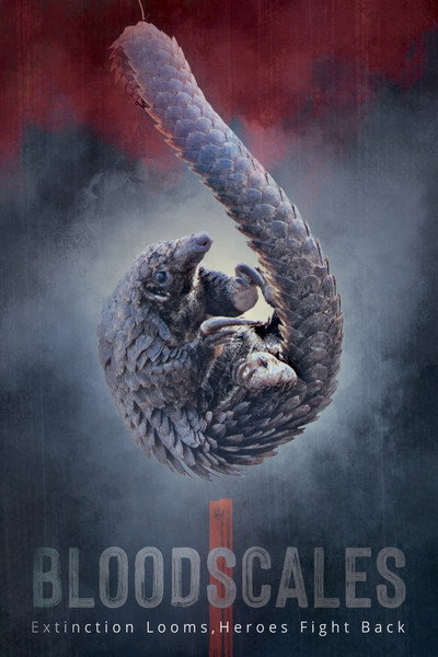 Póster de Blood Scales