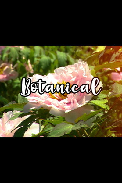 Póster de Bloom Skateboards Presents Botanical