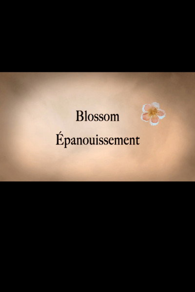 Póster de Blossom