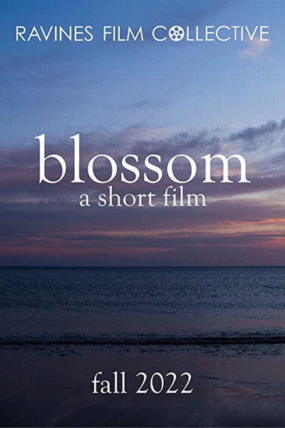 Póster de Blossom