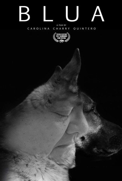 Póster de Blua