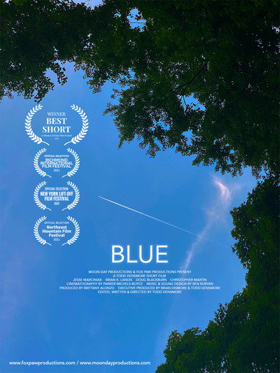 Póster de Blue