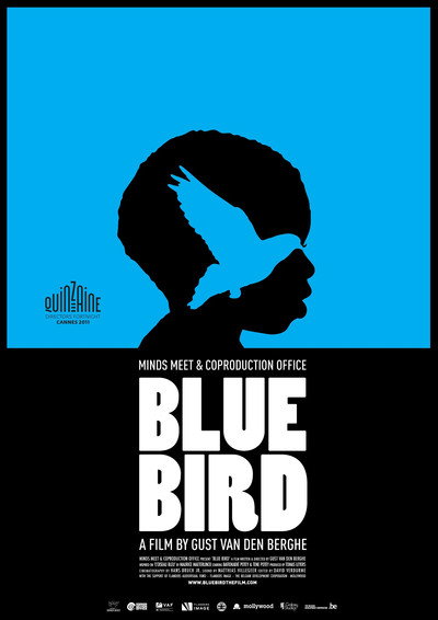 Póster de Blue Bird