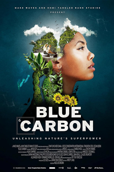 Póster de Blue Carbon: Nature's Hidden Power