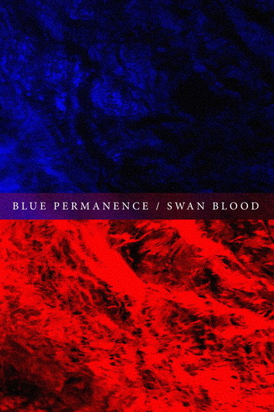 Póster de Blue Permanence/Swan Blood