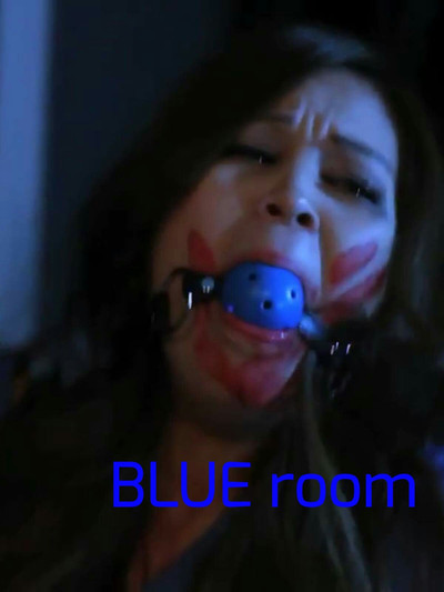 Póster de Blue Room